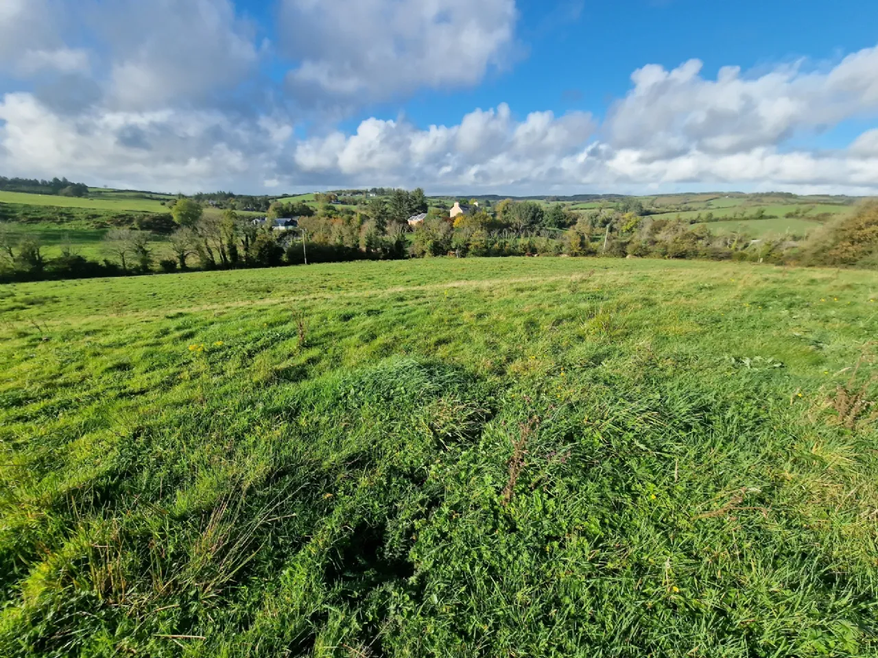 Photo of Land In Kilcloher, Folio CE7650, Kilmaley, Ennis, Co Clare