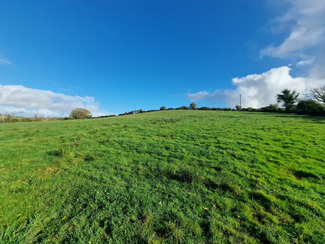 Photo of Land In Kilcloher, Folio CE7650, Kilmaley, Ennis, Co Clare