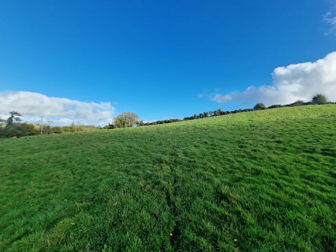 Photo of Land In Kilcloher, Folio CE7650, Kilmaley, Ennis, Co Clare