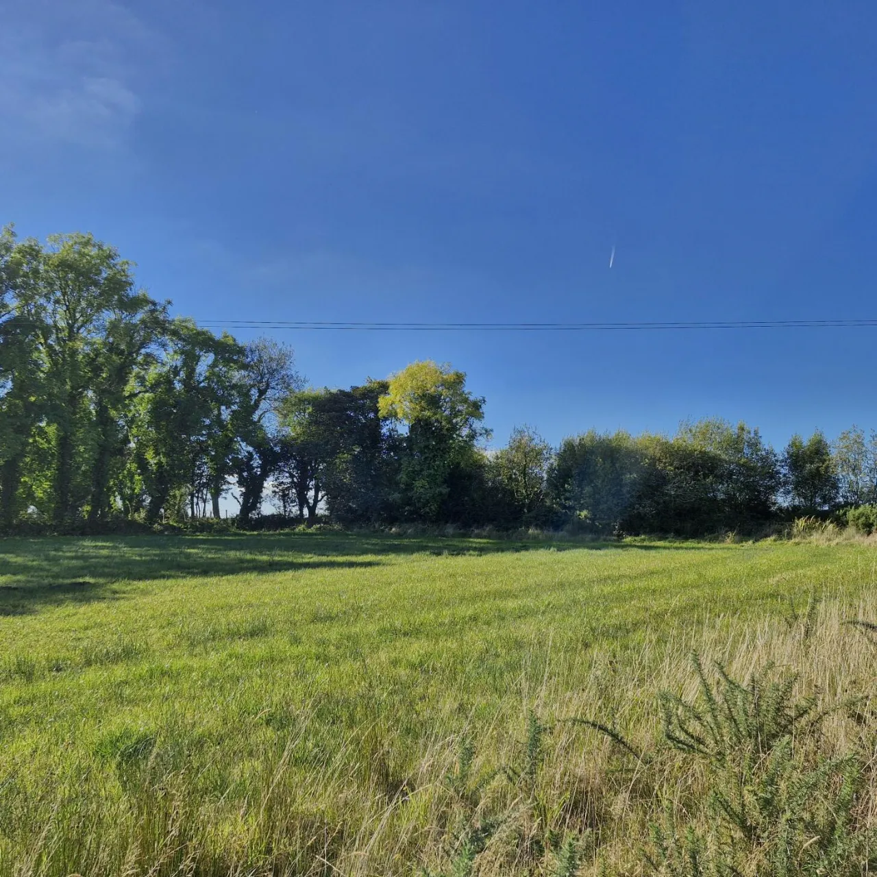 Photo of 1.97 Acre Site In Gortnalea, Gortnalea, Dunmore, Co. Galway