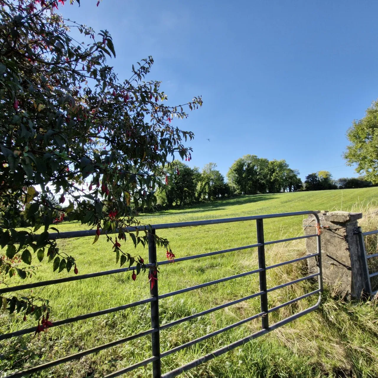 Photo of 1.97 Acre Site In Gortnalea, Gortnalea, Dunmore, Co. Galway